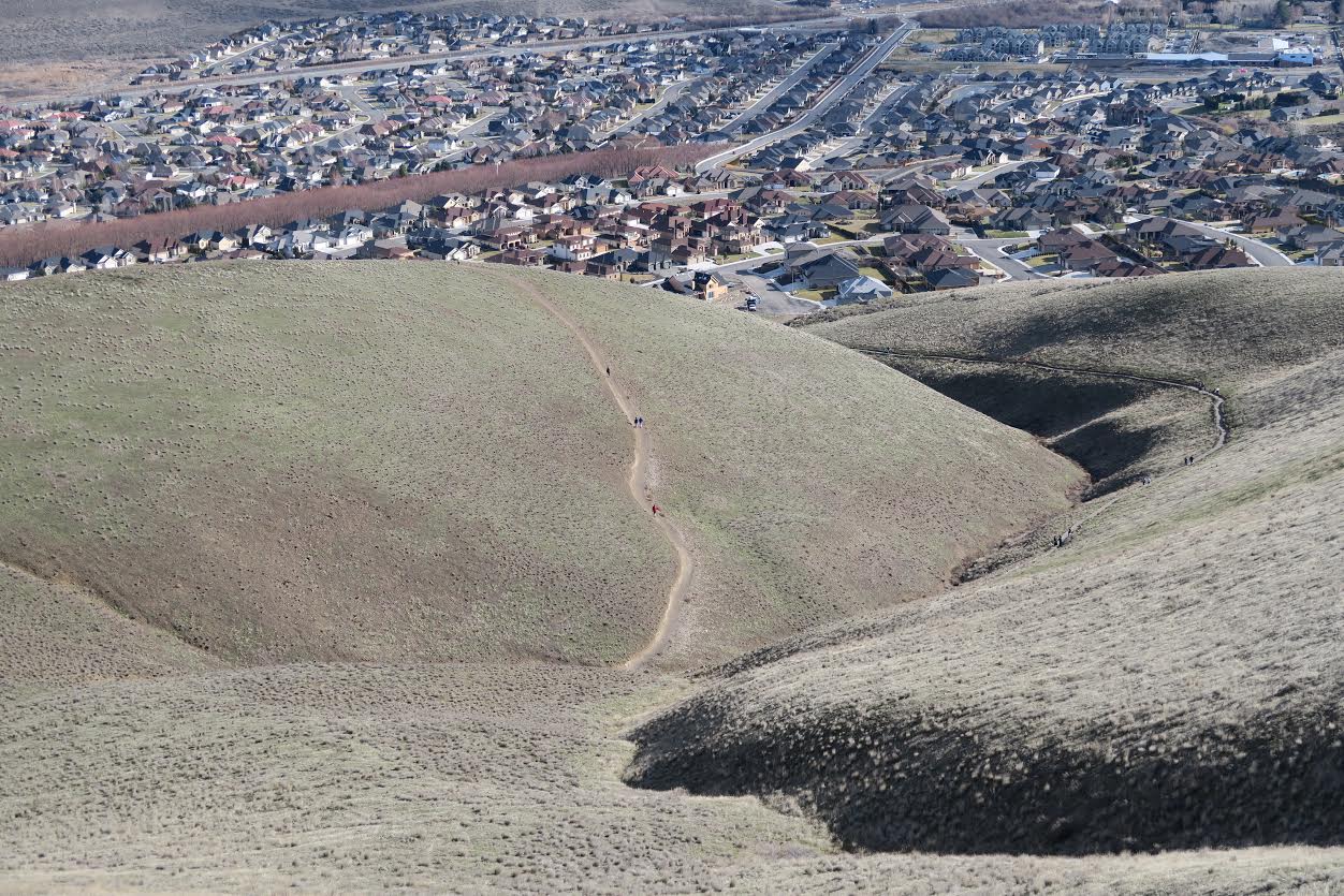 Badger Mountain Canyon Trail — Washington Trails Association